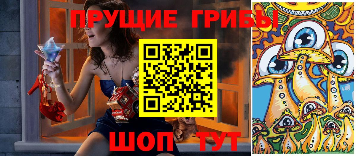 Новочебоксарск  Псилоцибиновые грибы Psilocybe  Вход с VPN 
